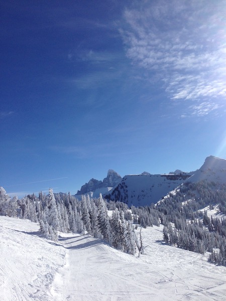 Snow covered mountain and trees, blue sky