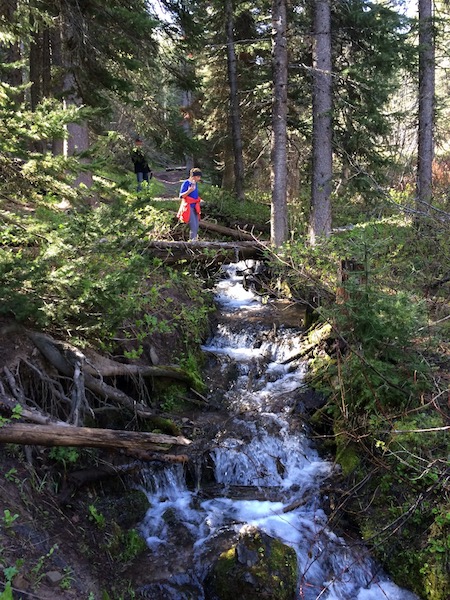Hiking tail with river and trees