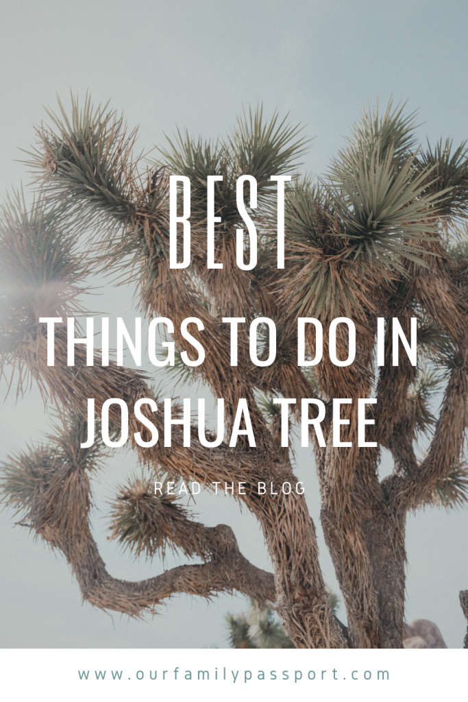 Photo of a close up Joshua Tree with text on the front that says, "best things to do in Joshua Tree. Read the blog. www.ourfamilypassport.com"