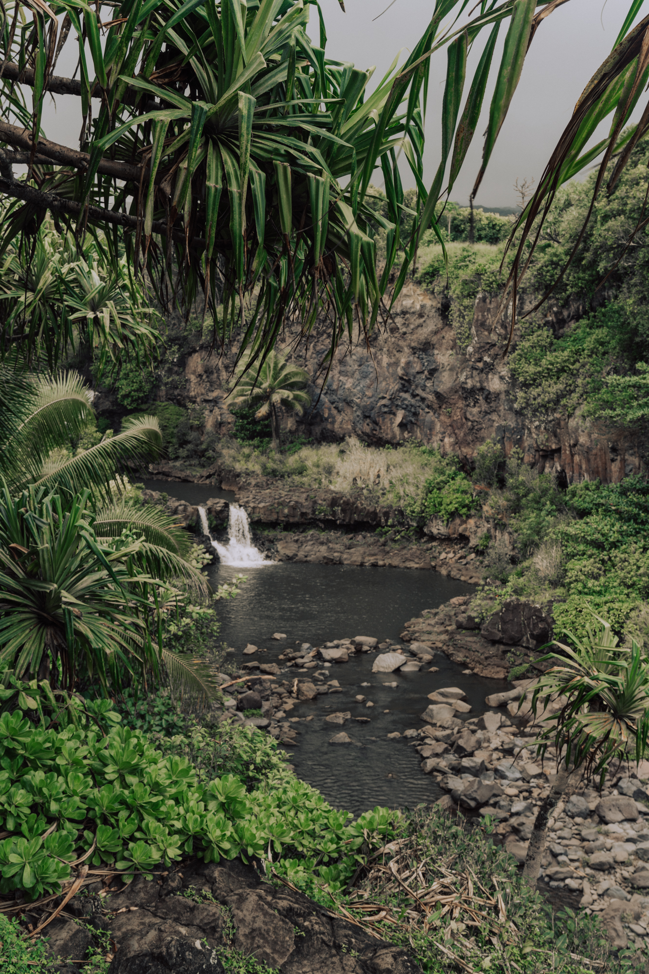 Water fall photo in a tropical setting with palm trees