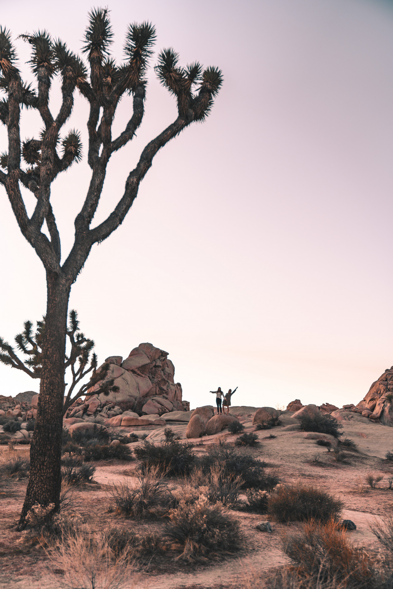 Two girls hiking in the rock at Joshua Tree at sunset. Photo includes rocks, Joshua trees, cacti and a large purple sky.