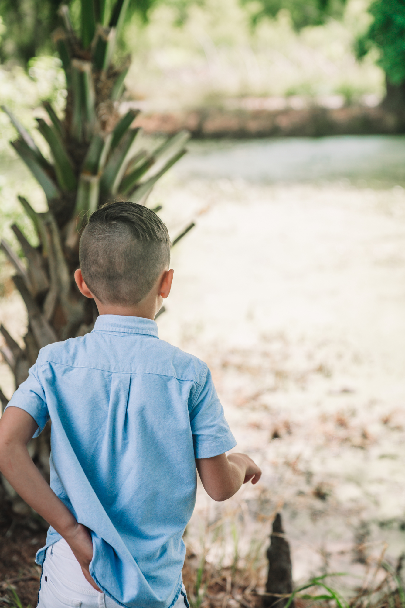 a little boy in a blue shirt looks out at the swamp landscape. 