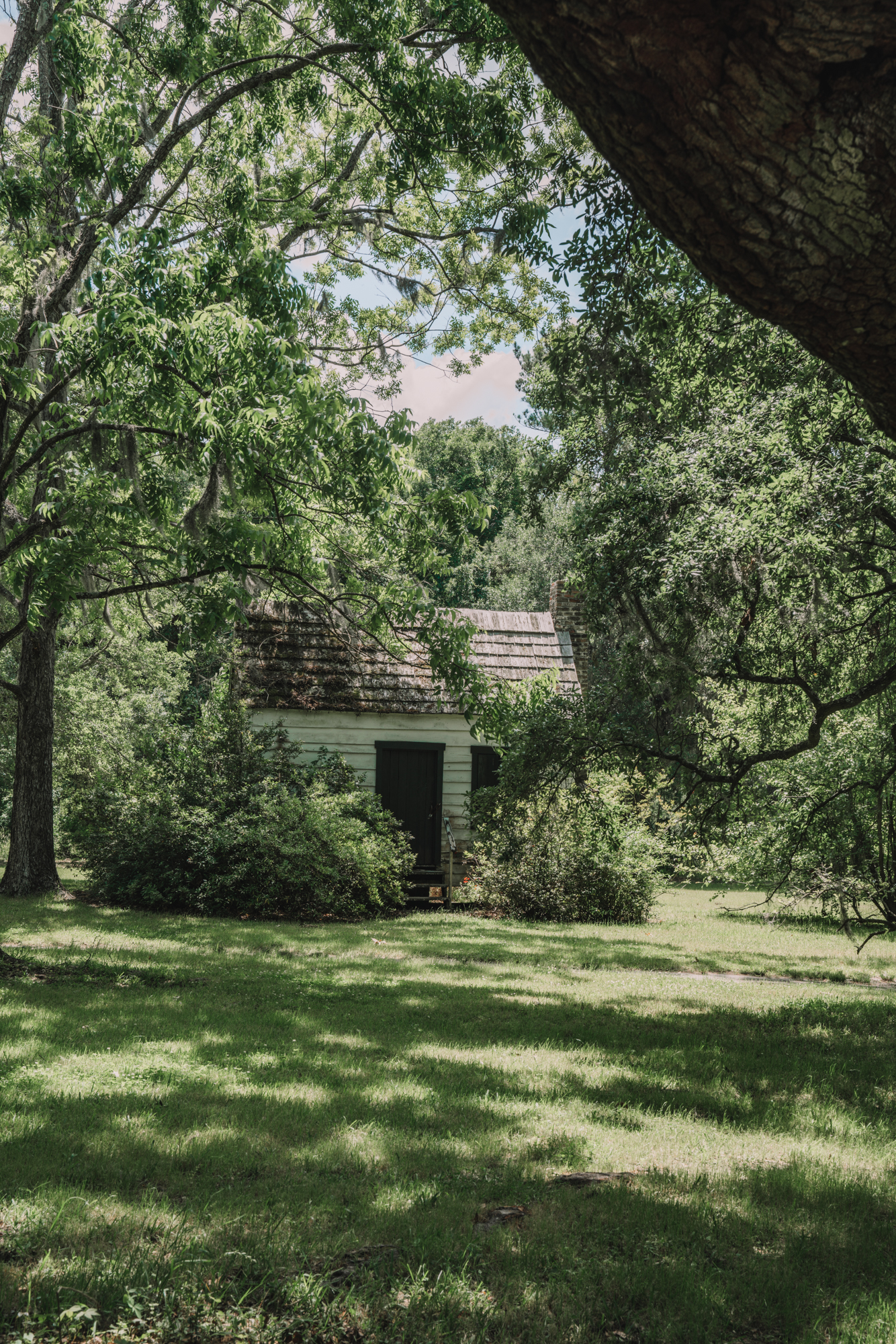 Things to do in Charleston sc with kids - a white slave cabin can be seems behind the vegetation of a big tree.