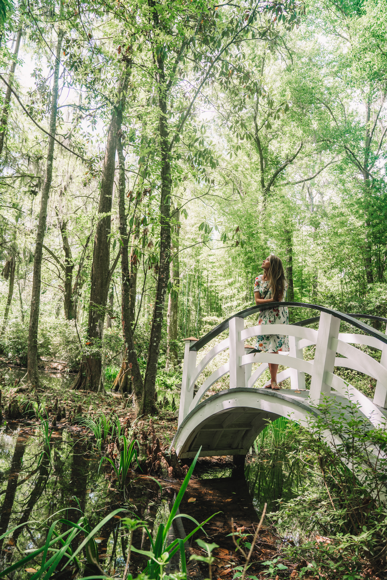 Romantic Things To Do in Charleston, SC - Magnolia Plantation Gardens