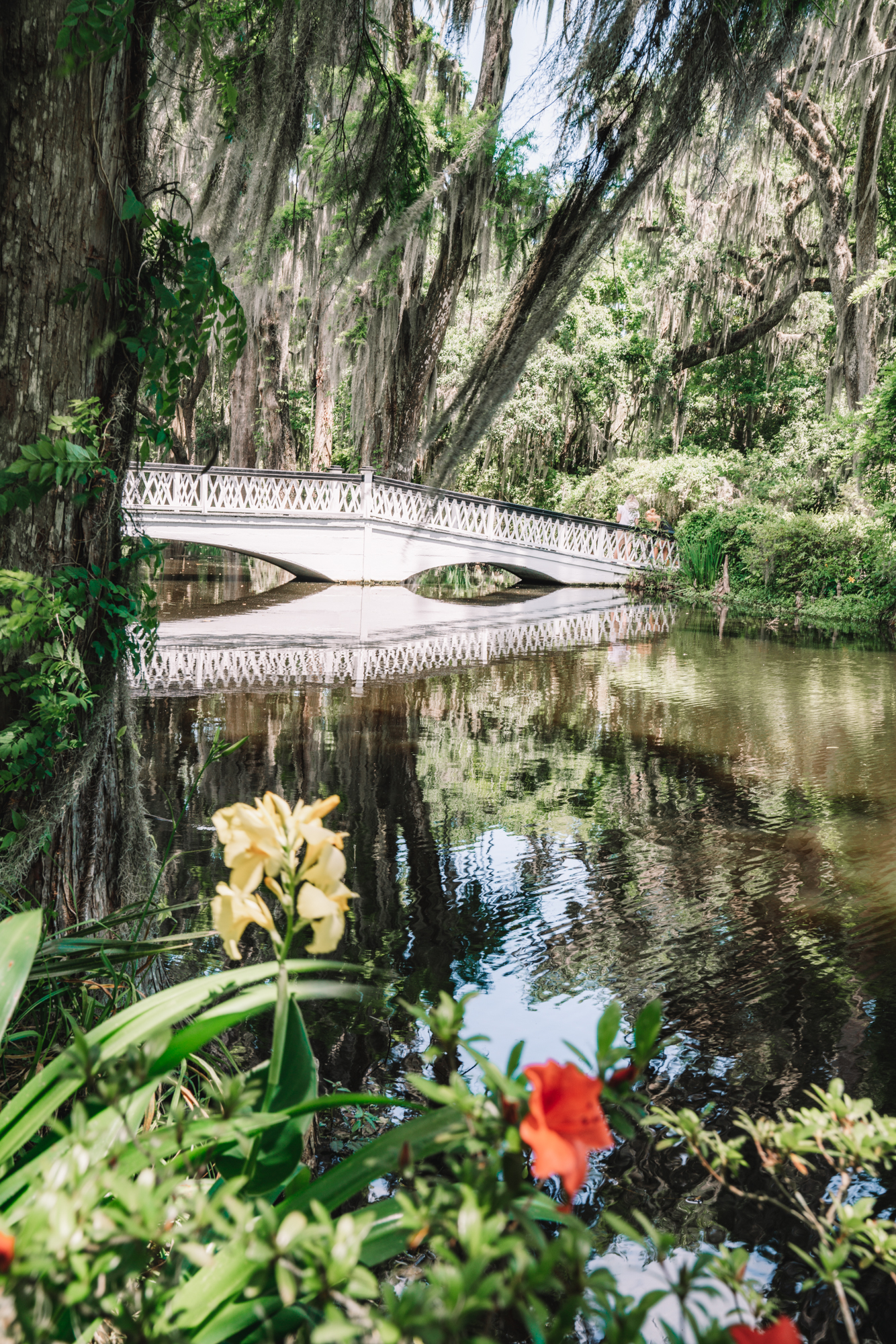 Magnolia Plantation Gardens