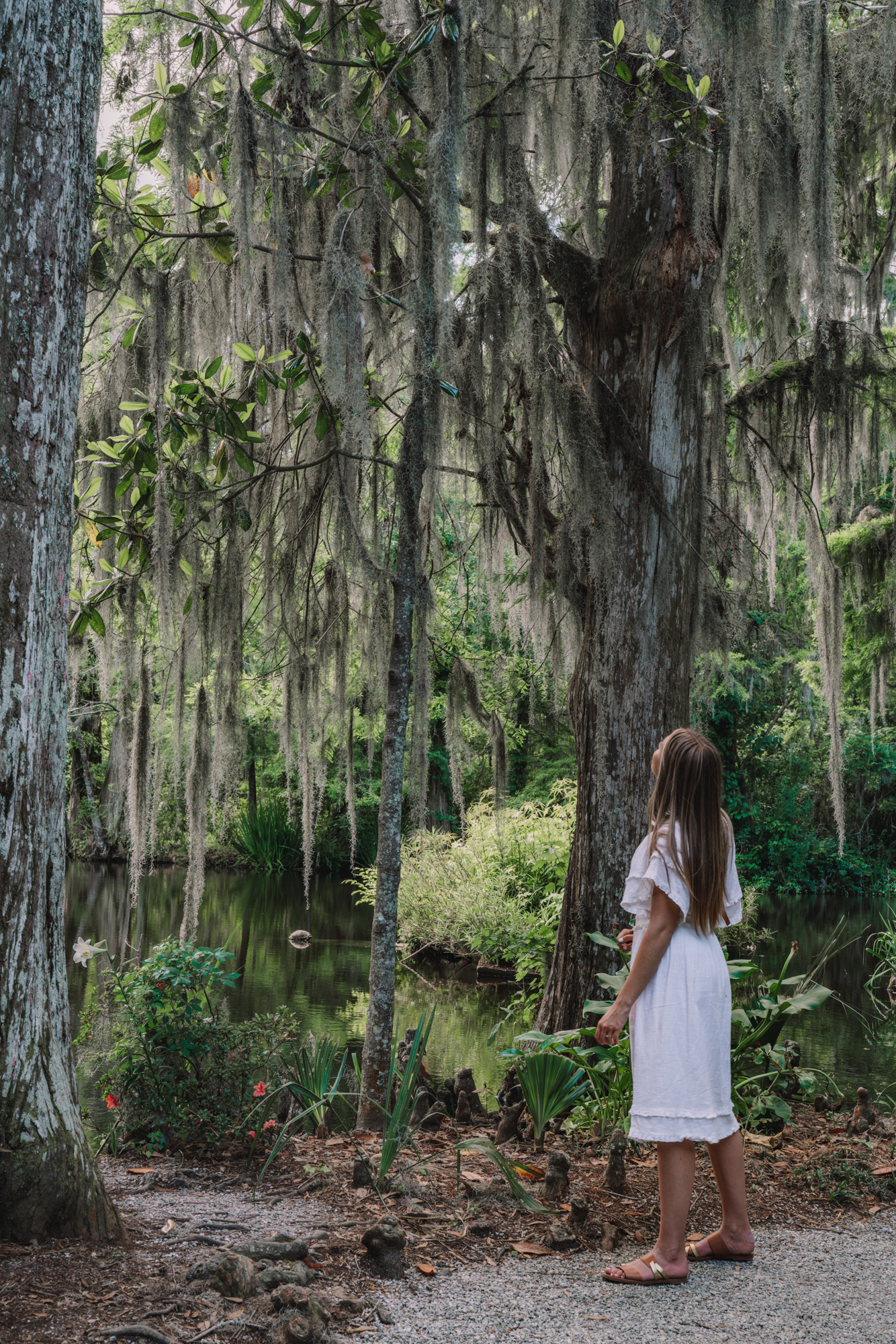 Romantic Things To Do in Charleston, SC - Magnolia Gardens