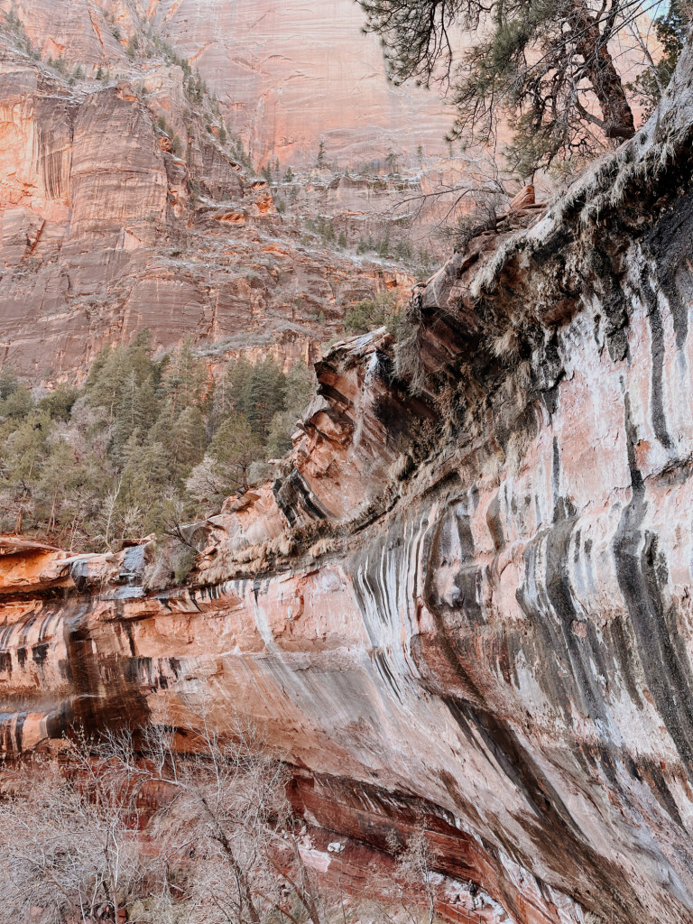 zion national park with a baby