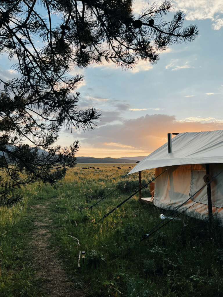 glamping on points and miles yellowstone