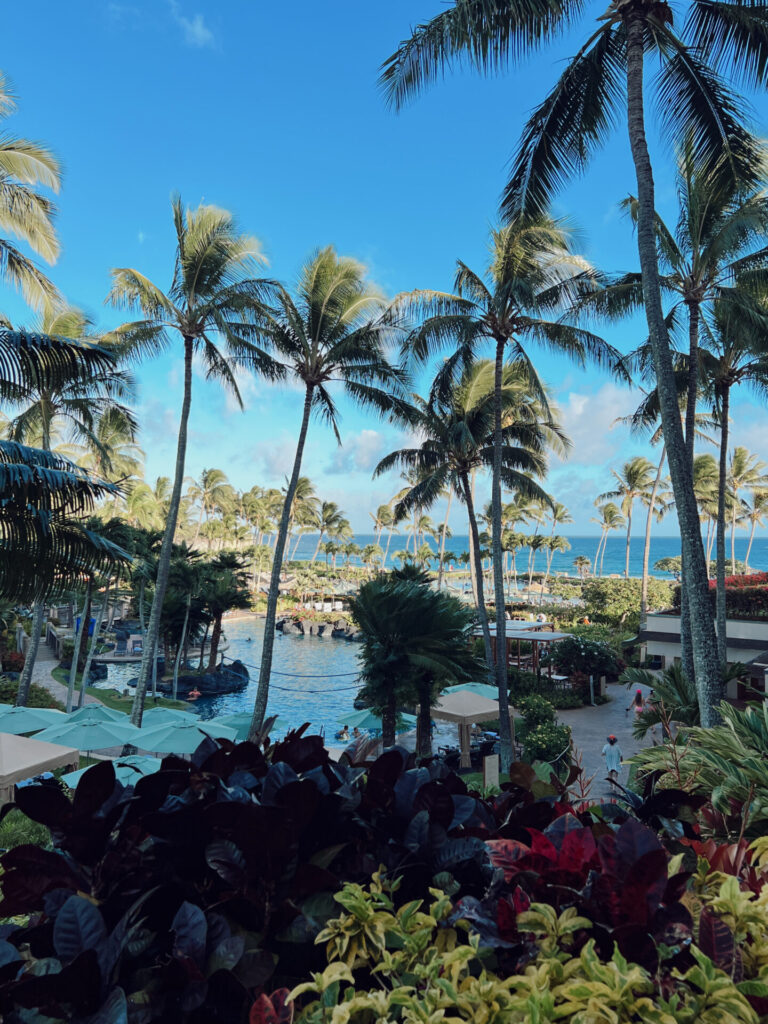 Palm trees and a resort pool overlooking the ocean at the Grand Hyatt Kauai in Hawaii
