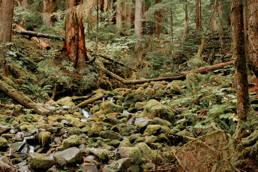 kid friendly national parks