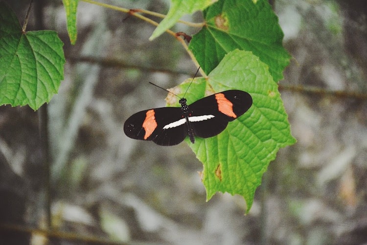 take care of the planet when traveling