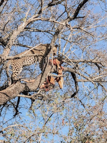 travel smart and conserve