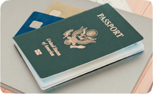 Favorite Cards for Beginners