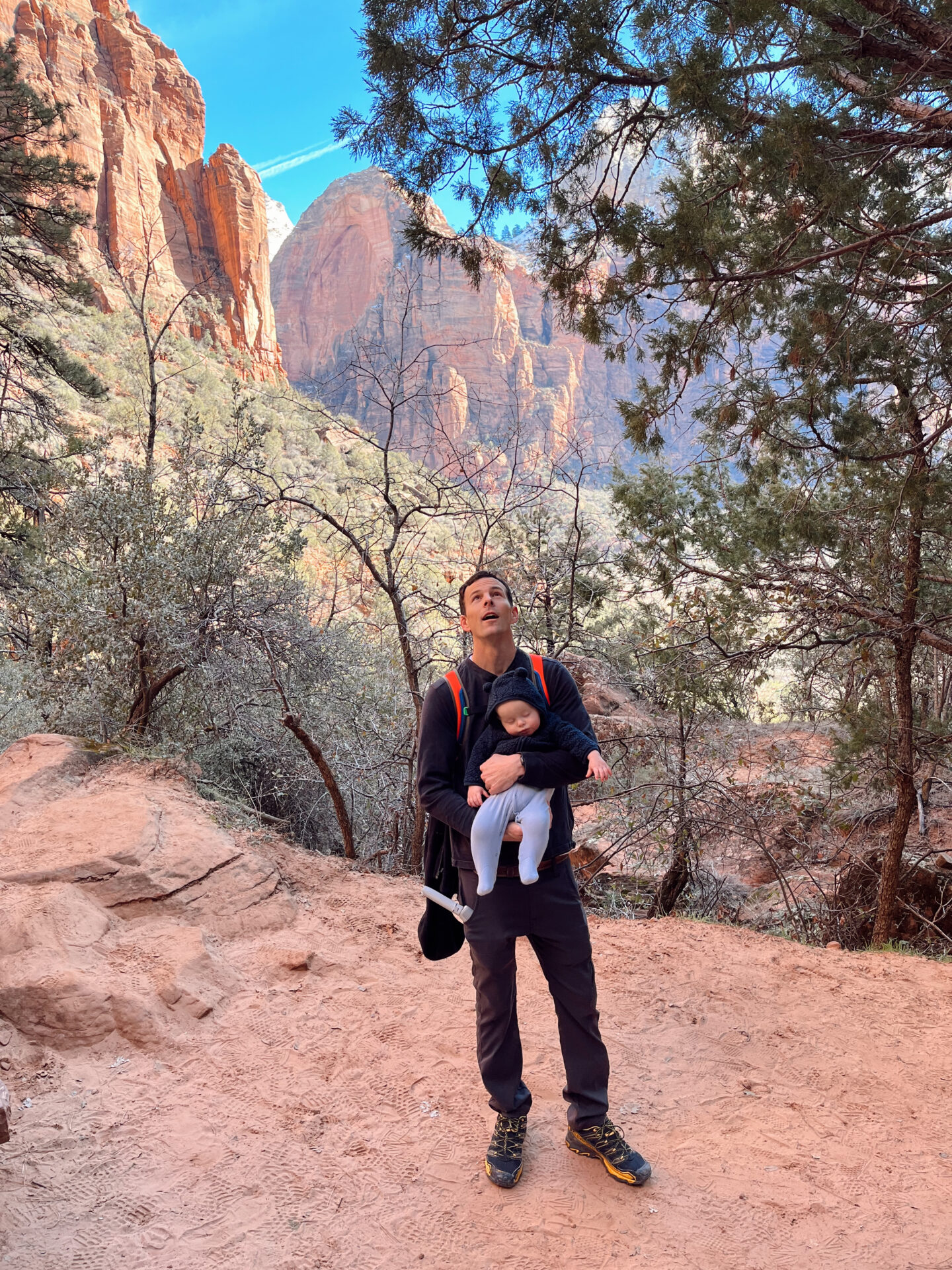 Dad hiking the Emerald Pools trail in Zion National Park with a sleeping baby on his back