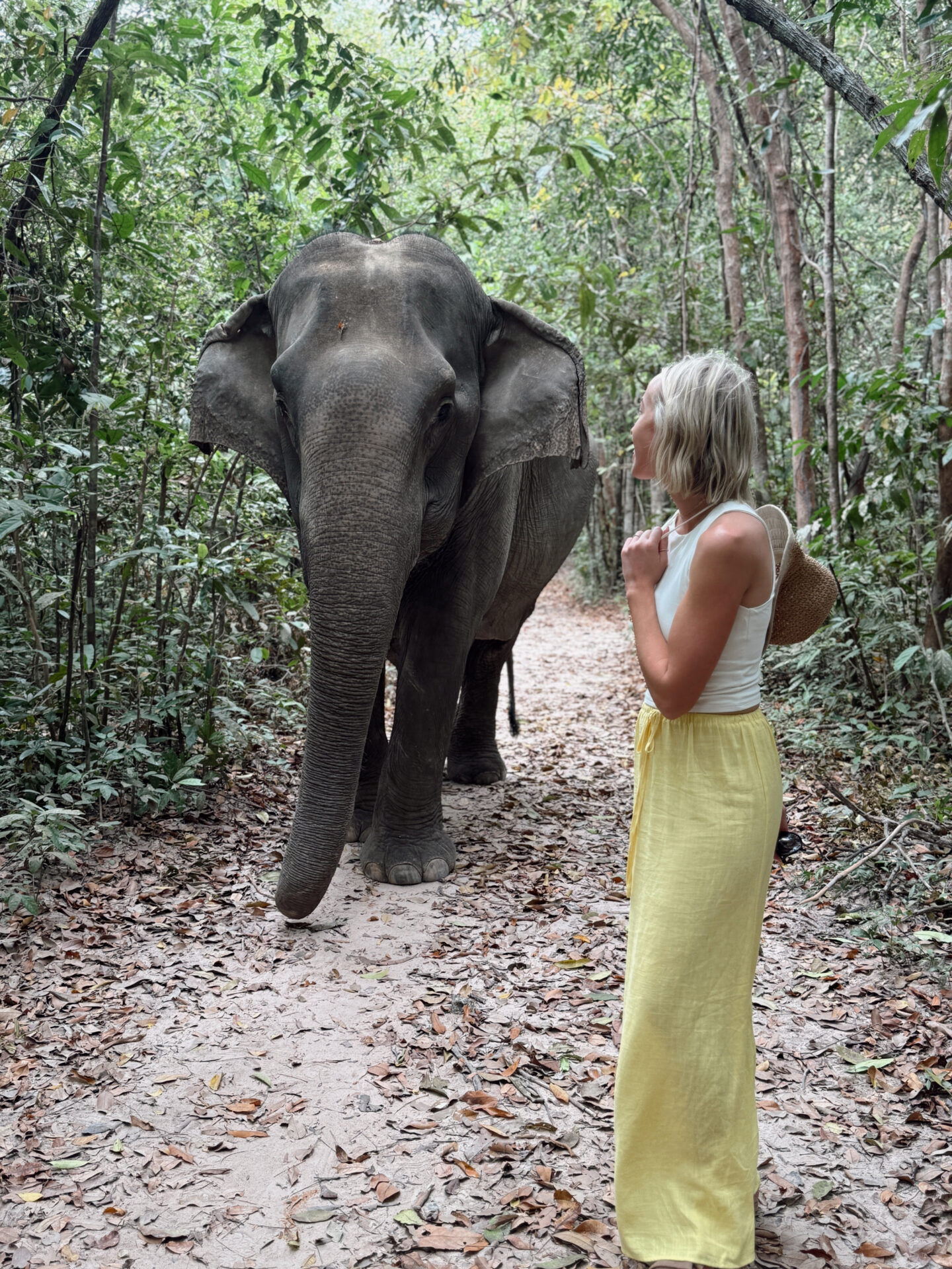 Woman standing face to face with an elephant on a jungle path at Kulen Elephant Forest in Siem Reap