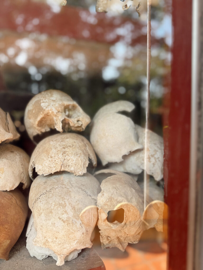 Close-up of skulls behind glass at the Wat Thmey Khmer Rouge memorial in Siem Reap