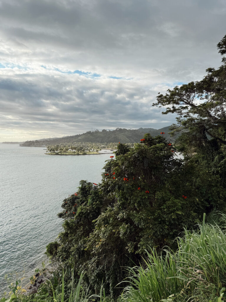 Cloudy ocean viewpoint on Fiji's Coral Coast with tropical red flowers and green hills