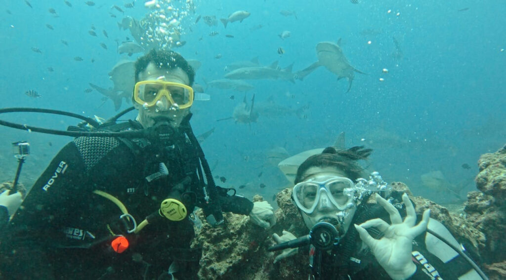 Two scuba divers surrounded by bull sharks and tropical fish on a Fiji shark dive