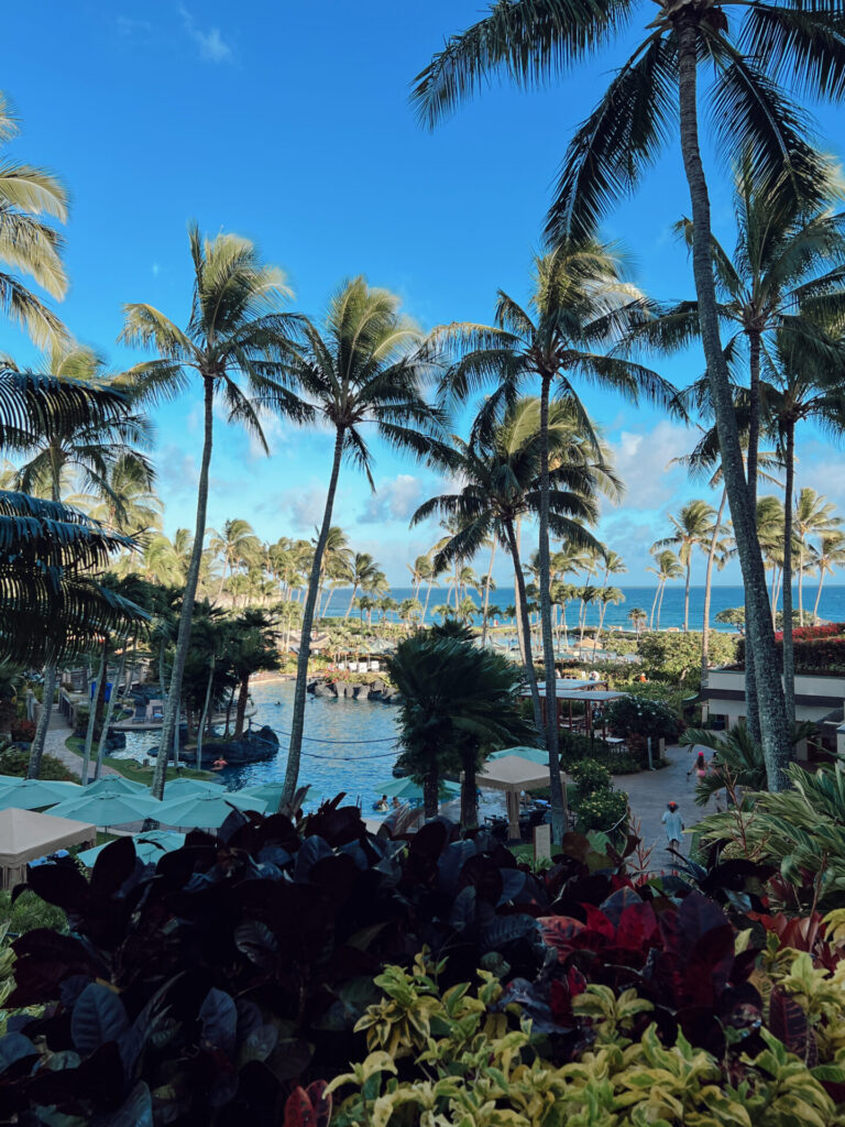 View from a room balcony through palm trees down to the resort pool complex and ocean